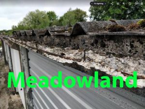 Meadowland-1