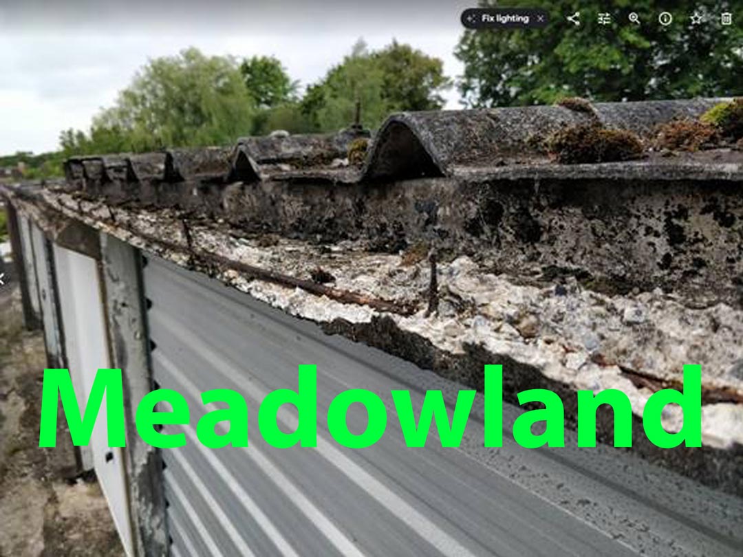Meadowland-1